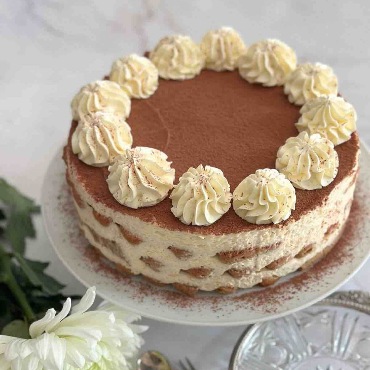 Tiramisu