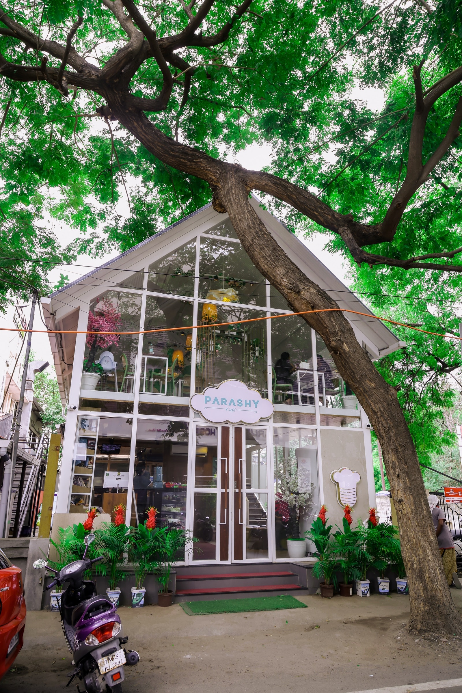 Parashy Cafe storefront beneath the tree canopy